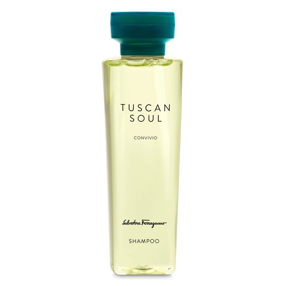 Salvatore Ferragamo Other - Salvatore Ferragamo Tuscan Soul Shampoo 2.9 oz.